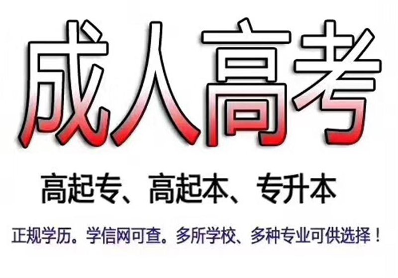 考研辅导：如何高效复习，迈向成功之路